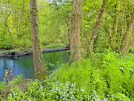 THE RIVER LIFFEY AT PALMERSTOWN [28 APRIL 2024]-231983-1