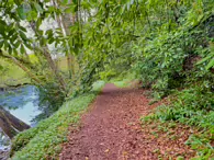 THE RIVER LIFFEY AT PALMERSTOWN [28 APRIL 2024]-231984-1