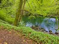 THE RIVER LIFFEY AT PALMERSTOWN [28 APRIL 2024]-231985-1