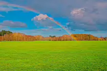 APRIL SHOWERS BRING MANY MAY FLOWERS AND THIS YEAR MANY RAINBOWS [SONY FX30]-231263-1