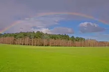 APRIL SHOWERS BRING MANY MAY FLOWERS AND THIS YEAR MANY RAINBOWS [SONY FX30]-231268-1