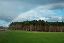 APRIL SHOWERS BRING MANY MAY FLOWERS AND THIS YEAR MANY RAINBOWS [SONY FX30]-231269-1