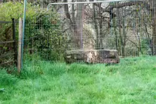 KNOCKMARY DOLMEN IN PHOENIX PARK