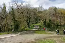 THE FURRY GLEN IN PHOENIX PARK