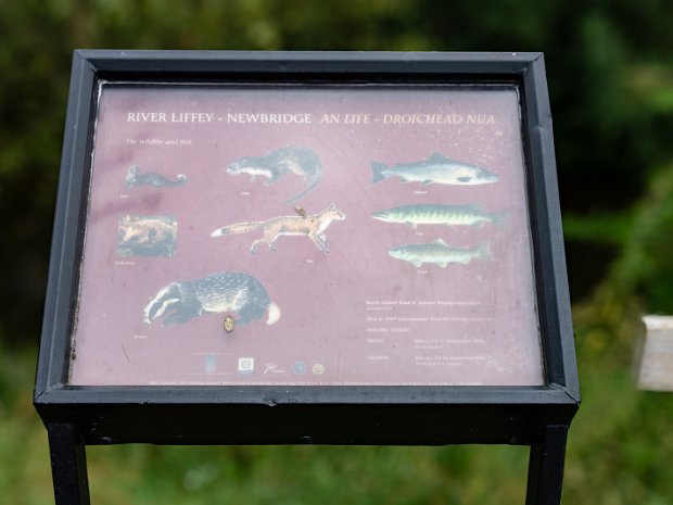 LIFFEY LINEAR PARK