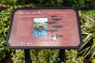 THE NEWBRIDGE SECTION OF THE LIFFEY LINEAR PARK INCLUDES A FAIRY WALK [14 AUGUST 2024]-238660-1