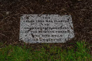THE NEWBRIDGE SECTION OF THE LIFFEY LINEAR PARK INCLUDES A FAIRY WALK [14 AUGUST 2024]-238661-1