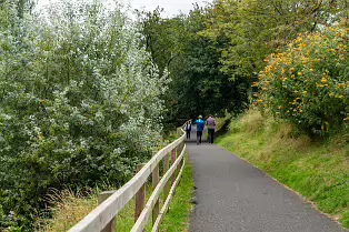 THE NEWBRIDGE SECTION OF THE LIFFEY LINEAR PARK INCLUDES A FAIRY WALK [14 AUGUST 2024]-238666-1