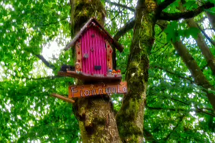 THE NEWBRIDGE SECTION OF THE LIFFEY LINEAR PARK INCLUDES A FAIRY WALK [14 AUGUST 2024]-238681-1