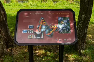 THE NEWBRIDGE SECTION OF THE LIFFEY LINEAR PARK INCLUDES A FAIRY WALK [14 AUGUST 2024]-238695-1