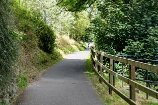 THE NEWBRIDGE SECTION OF THE LIFFEY LINEAR PARK INCLUDES A FAIRY WALK [14 AUGUST 2024]-238705-1