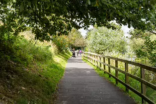 THE NEWBRIDGE SECTION OF THE LIFFEY LINEAR PARK INCLUDES A FAIRY WALK [14 AUGUST 2024]-238706-1