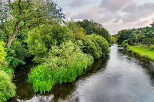 NEWBRIDGE AND THE RIVER LIFFEY [SHARE A DEEP ROOTED CONNECTION]-238517-1
