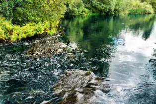 NEWBRIDGE AND THE RIVER LIFFEY [SHARE A DEEP ROOTED CONNECTION]-238518-1