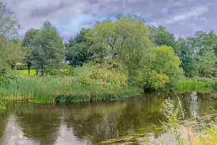 NEWBRIDGE AND THE RIVER LIFFEY [SHARE A DEEP ROOTED CONNECTION]-238520-1