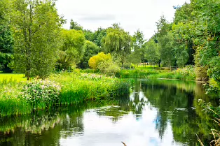 NEWBRIDGE AND THE RIVER LIFFEY [SHARE A DEEP ROOTED CONNECTION]-238523-1