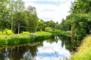 NEWBRIDGE AND THE RIVER LIFFEY [SHARE A DEEP ROOTED CONNECTION]-238524-1