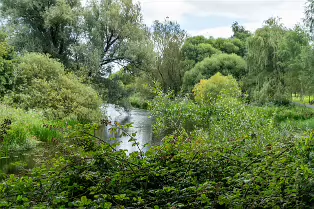NEWBRIDGE AND THE RIVER LIFFEY [SHARE A DEEP ROOTED CONNECTION]-238528-1