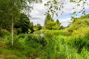 NEWBRIDGE AND THE RIVER LIFFEY [SHARE A DEEP ROOTED CONNECTION]-238535-1