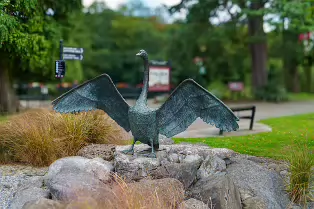 SCULPTURE OF A SWAN BY ANNETTE McCORMACK [AT THE STRAND PARK IN NEWBRIDGE]-238514-1