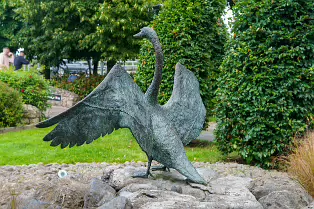 SCULPTURE OF A SWAN BY ANNETTE McCORMACK [AT THE STRAND PARK IN NEWBRIDGE]-238516-1