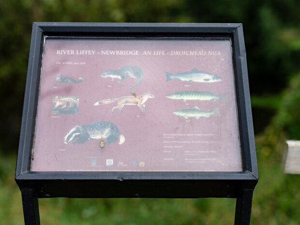 LIFFEY LINEAR PARK The section of the Liffey Linear Park at Newbridge offers a delightful escape into nature, right on the doorstep of the...