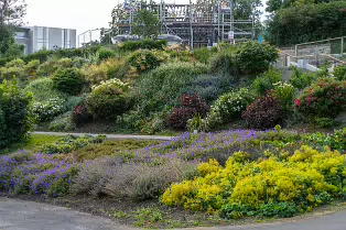 THE AREA NEAR THE OLD KIOSK SOON TO BE A TEAROOM [BLACKROCK PUBLIC PARK]-238264-1