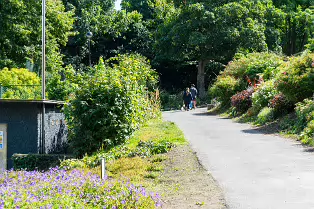 THE AREA NEAR THE OLD KIOSK SOON TO BE A TEAROOM [BLACKROCK PUBLIC PARK]-238267-1