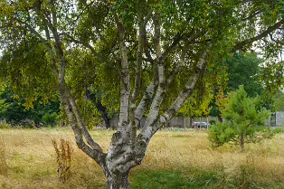 EXPLORING BLACKROCK PUBLIC PARK [10 AUGUST 2024]-238291-1