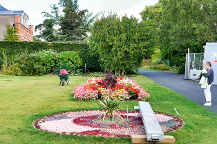 FLOWERS AT THE BOTANIC GARDENS IN GLASNEVIN [SCULPTURE IN CONTEXT 2024 WAS CANCELLED]-239392-1