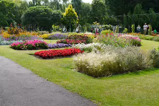 FLOWERS AT THE BOTANIC GARDENS IN GLASNEVIN [SCULPTURE IN CONTEXT 2024 WAS CANCELLED]-239397-1