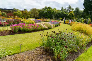 FLOWERS AT THE BOTANIC GARDENS IN GLASNEVIN [SCULPTURE IN CONTEXT 2024 WAS CANCELLED]-239402-1