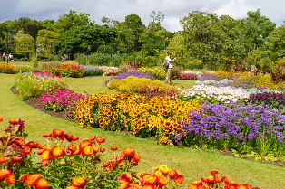FLOWERS AT THE BOTANIC GARDENS IN GLASNEVIN [SCULPTURE IN CONTEXT 2024 WAS CANCELLED]-239405-1