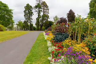 FLOWERS AT THE BOTANIC GARDENS IN GLASNEVIN [SCULPTURE IN CONTEXT 2024 WAS CANCELLED]-239413-1