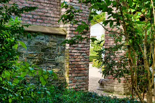THE FRUIT AND VEGETABLE GARDEN [BOTANIC GARDENS DUBLIN]-239414-1