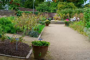 THE FRUIT AND VEGETABLE GARDEN [BOTANIC GARDENS DUBLIN]-239415-1