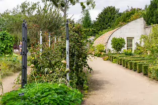 THE FRUIT AND VEGETABLE GARDEN [BOTANIC GARDENS DUBLIN]-239416-1