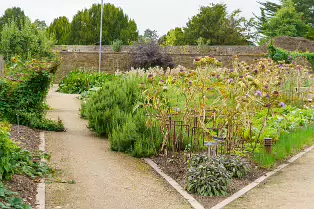 THE FRUIT AND VEGETABLE GARDEN [BOTANIC GARDENS DUBLIN]-239418-1
