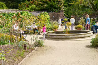 THE FRUIT AND VEGETABLE GARDEN [BOTANIC GARDENS DUBLIN]-239431-1
