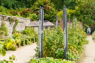 THE FRUIT AND VEGETABLE GARDEN [BOTANIC GARDENS DUBLIN]-239434-1