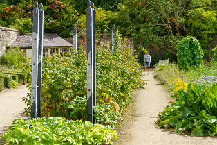 THE FRUIT AND VEGETABLE GARDEN [BOTANIC GARDENS DUBLIN]-239435-1