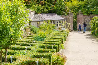 THE FRUIT AND VEGETABLE GARDEN [BOTANIC GARDENS DUBLIN]-239437-1