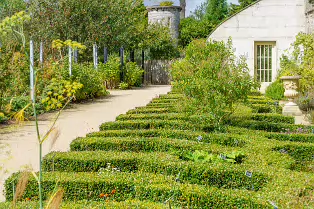 THE FRUIT AND VEGETABLE GARDEN [BOTANIC GARDENS DUBLIN]-239439-1