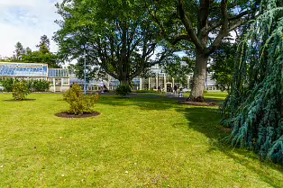 SOME OF THE GLASSHOUSES AT THE BOTANIC GARDENS [28 AUGUST 2024]-239321-1