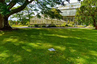 SOME OF THE GLASSHOUSES AT THE BOTANIC GARDENS [28 AUGUST 2024]-239328-1