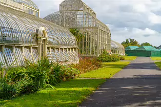 SOME OF THE GLASSHOUSES AT THE BOTANIC GARDENS [28 AUGUST 2024]-239332-1