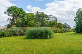 SOME OF THE GLASSHOUSES AT THE BOTANIC GARDENS [28 AUGUST 2024]-239335-1