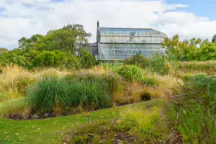 SOME OF THE GLASSHOUSES AT THE BOTANIC GARDENS [28 AUGUST 2024]-239336-1