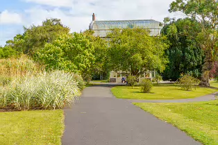 SOME OF THE GLASSHOUSES AT THE BOTANIC GARDENS [28 AUGUST 2024]-239337-1