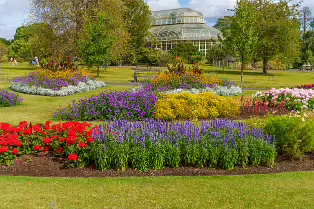 SOME OF THE GLASSHOUSES AT THE BOTANIC GARDENS [28 AUGUST 2024]-239338-1